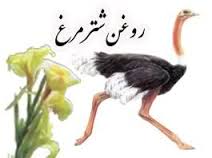 قیمت خرید فروش عمده روغن شترمرغ باکیفیت اصل