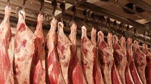 پخش عمده گوشت شترمرغ با کیفیت
