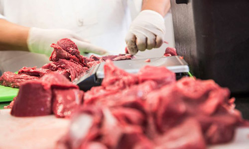 فروش گوشت شترمرغ قطعه بندی شده