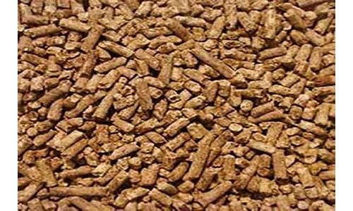 مراکز فروش خوراک شترمرغ پروار و مولد